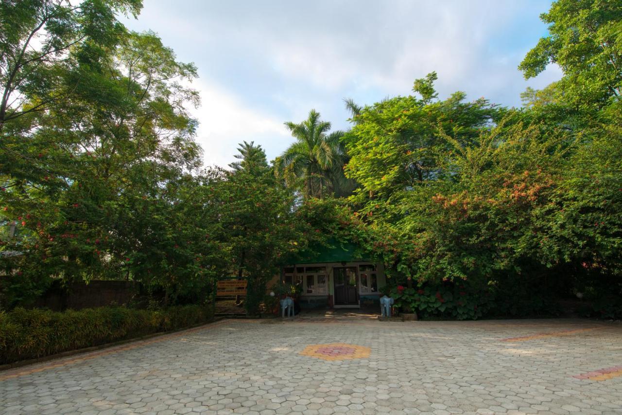 Chitwan Paradise Hotel Саураха Экстерьер фото