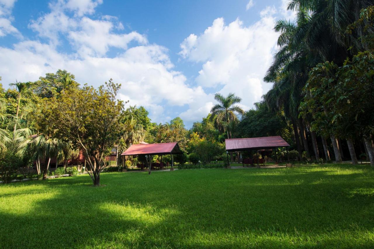 Chitwan Paradise Hotel Саураха Экстерьер фото