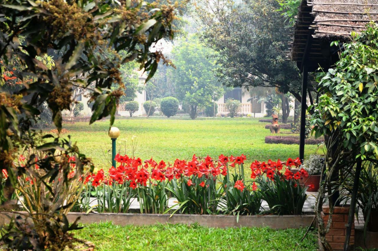 Chitwan Paradise Hotel Саураха Экстерьер фото