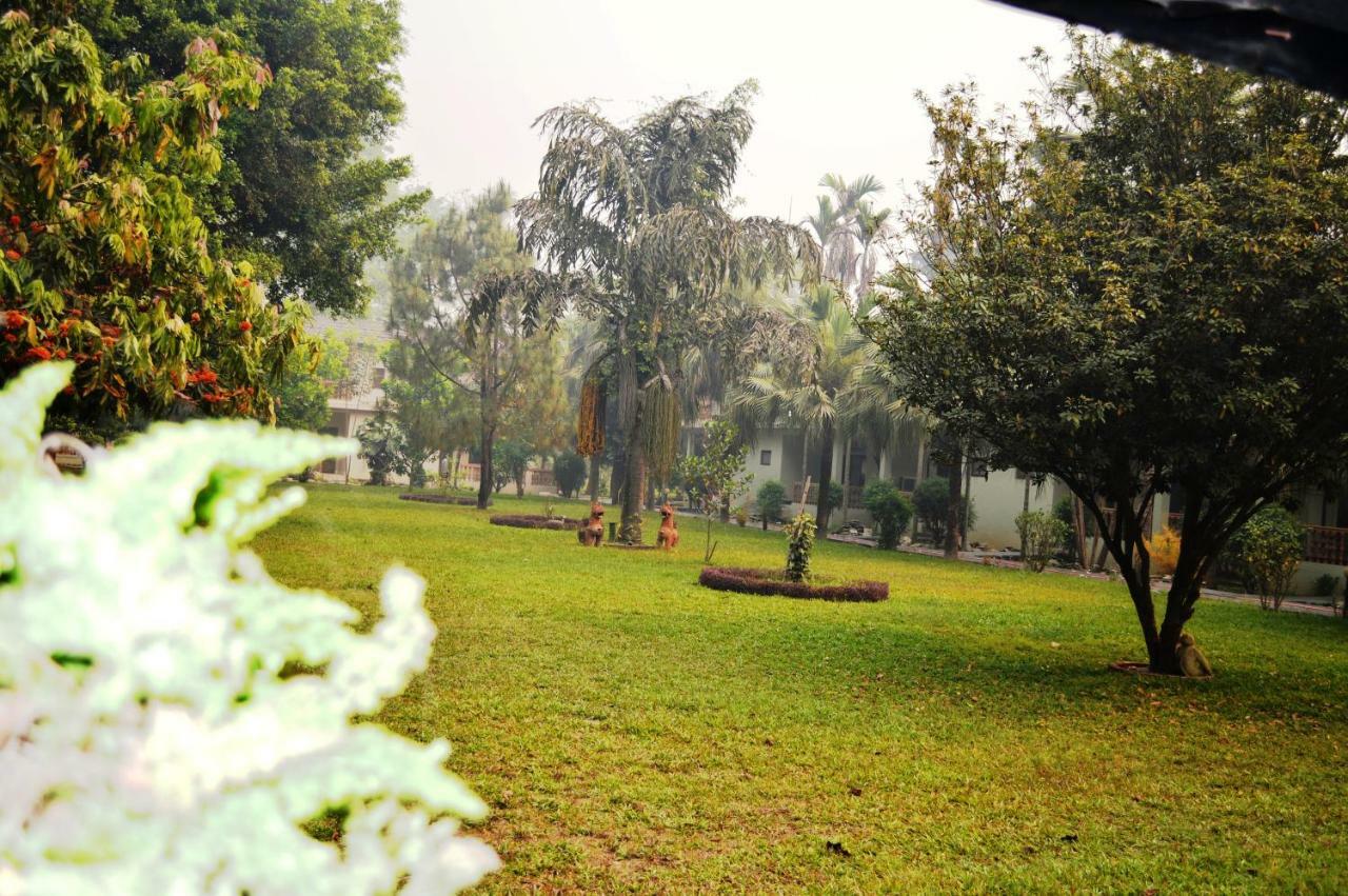 Chitwan Paradise Hotel Саураха Экстерьер фото