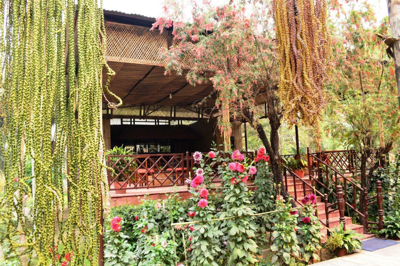 Chitwan Paradise Hotel Саураха Экстерьер фото