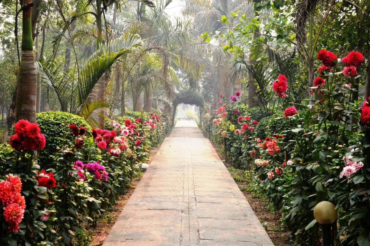 Chitwan Paradise Hotel Саураха Экстерьер фото