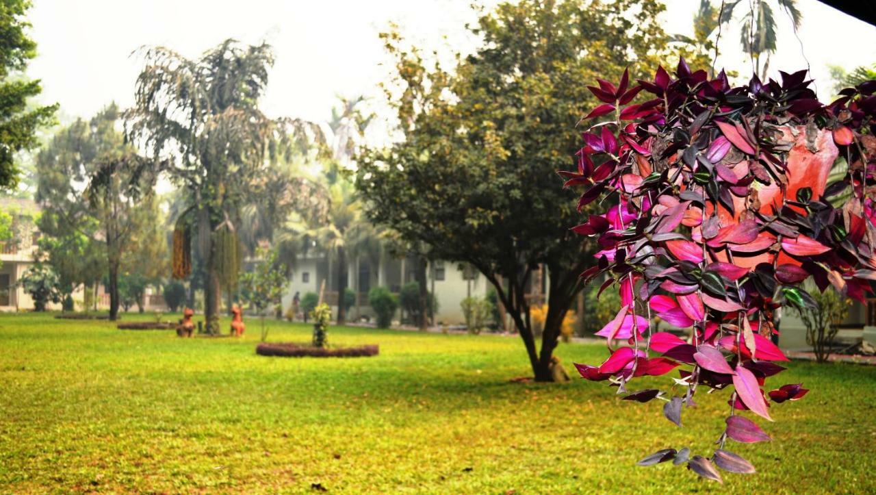 Chitwan Paradise Hotel Саураха Экстерьер фото