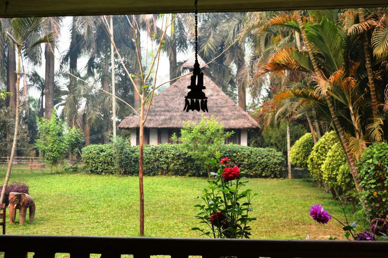 Chitwan Paradise Hotel Саураха Экстерьер фото