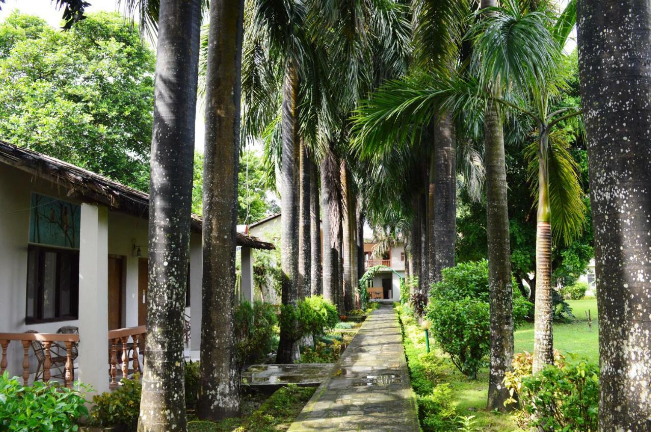 Chitwan Paradise Hotel Саураха Экстерьер фото